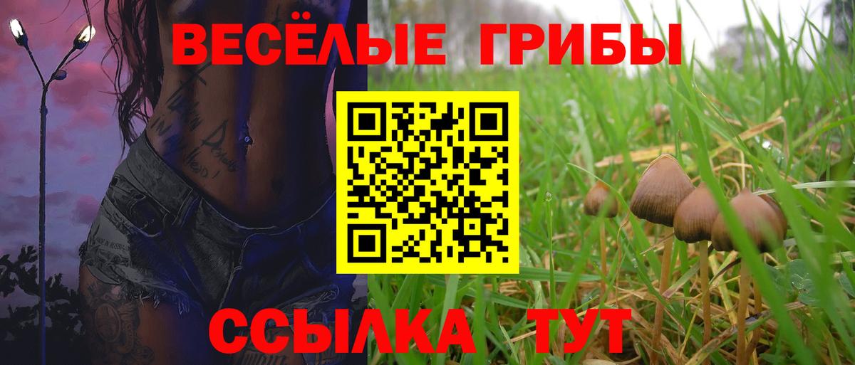 Галлюциногенные грибы Magic Shrooms  Вход с VPN  Семёнов  Псилоцибиновые грибы GOLDEN TEACHER 